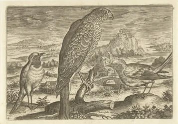 Some Birds in a Landscape
