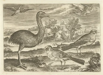 Several Birds in a Landscape (Avivm Vivae series)