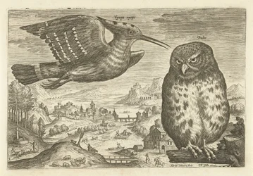 Several Birds in a Landscape (series title: Avivm vivae)