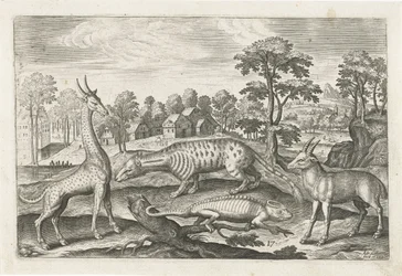 Exotic Animals