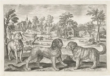 Dogs