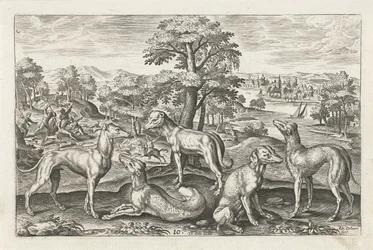 Hunting Dogs