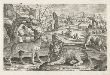 Lions and Leopard (Four-legged Animals) (Animalivm Qvaddrvpedvm)