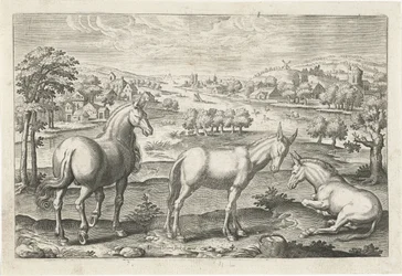Horse and Donkeys