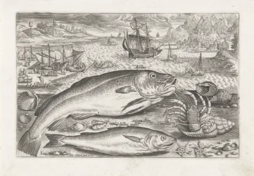 Two Fish on the Beach