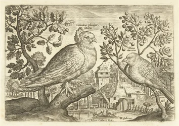 Two Birds in a Landscape (series title: Avivm Vivae, Birds)