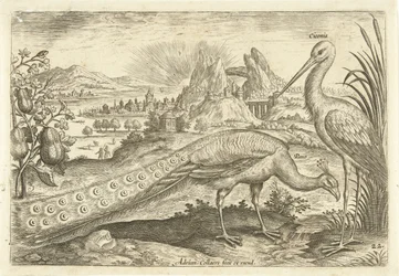 Two Birds in a Landscape (Avivm Vivae) (Birds)