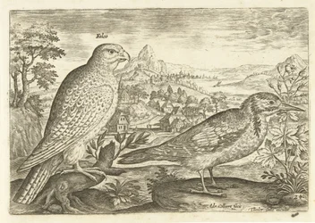 Two Birds in a Landscape