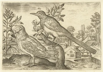 Two Birds in a Landscape (Birds) (Avivm Vivae)
