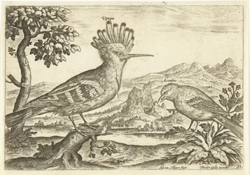 Two Birds in a Landscape (series title)