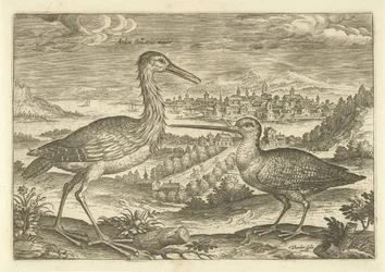 Two Birds in a Landscape Birds (series title)