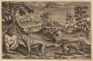 Two Apes and Two Monkeys