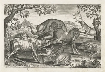 Fighting Animals, Four-legged Animals (series title), Animalivm Qvaddrvpedvm (series title)