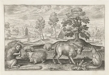 Various Animals