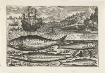 Four Fish on the Beach