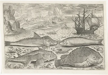 Four Fish on the Beach (Fish, Piscivm Vivae Icones)