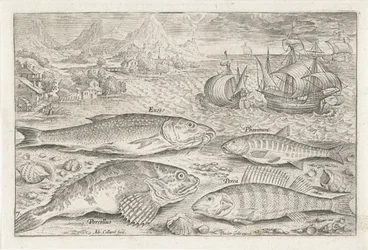 Four Fish on the Beach (Fish series)