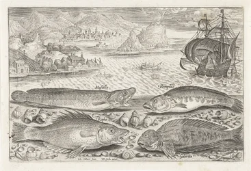 Four Fish on the Beach