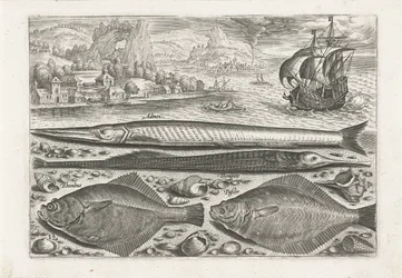 Four Fish on the Beach