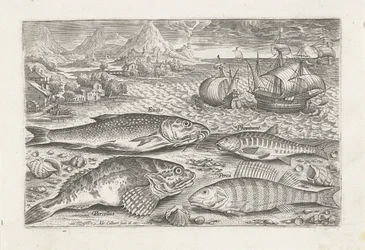 Four Fish on the Beach (series title) Piscivm vivae icones (series title)
