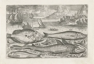 Four Fish on the Beach (Piscivm vivae icones series)