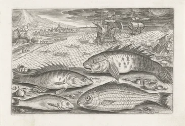 Four Fish on the Beach