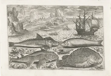 Four Fish on the Beach