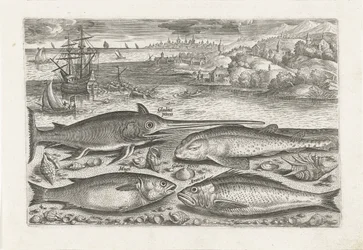 Four Fish on the Beach