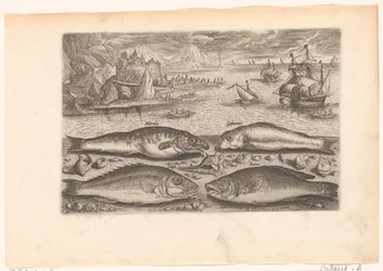 Four Fish on the Beach (series title: Fish, Piscivm vivae icones)