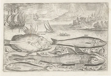 Four Fish on the Beach (Fish series)