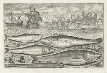 Five Fish on the Beach