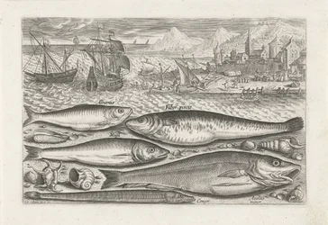 Five Fish on the Beach (Piscivm vivae icones series)