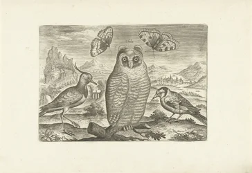 Birds and Butterflies in a Landscape (Birds / Avivm vivae)