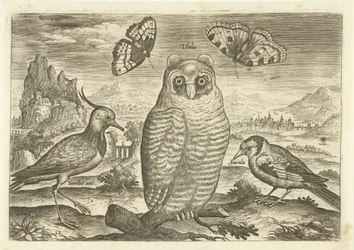 Birds and Butterflies in a Landscape