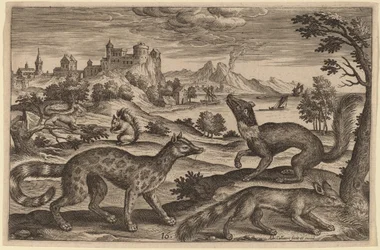 Weasels and Squirrels