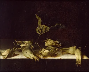 Still Life with Hazel-nuts, 1696