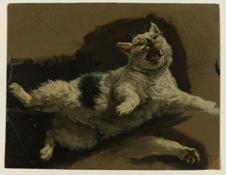Cat Lying on Its Back with Loose Paw
