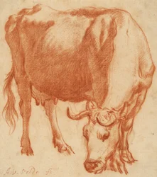 A cow grazing, c.1663