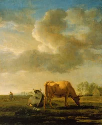 Cows in a Field
