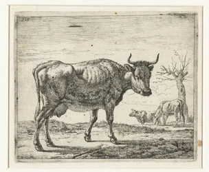 Three Cows