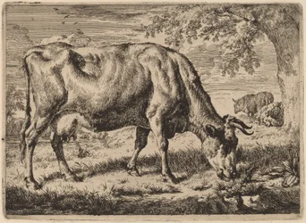 Grazing Cow with Two Sheep