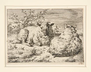 The Two Sheep