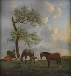 Pasture with Horses and Cattle