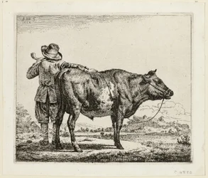 The Cowherd and the Bull