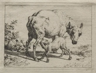The Ewe and Two Lambs