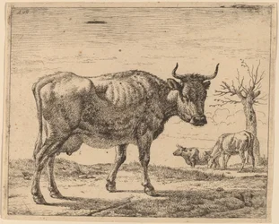 Three Cows