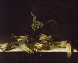 Still Life with Hazel-nuts