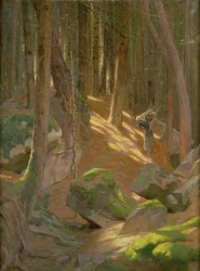 Twilight in a Forest