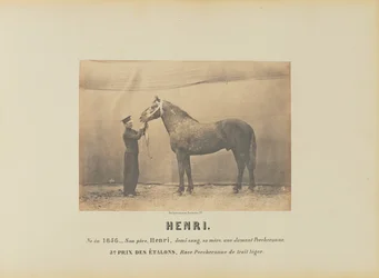 Henry