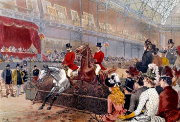 Horse Racing: Hedge Jumping
